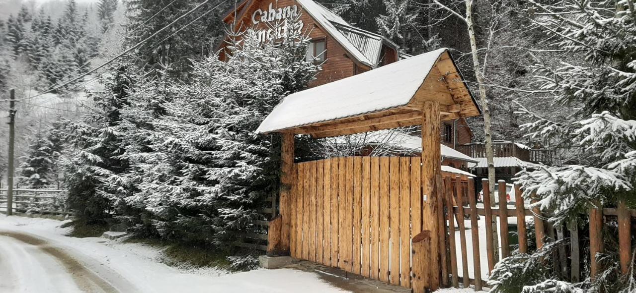 Ancutei Rucăr